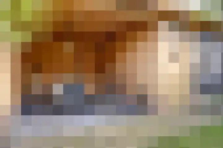 De Blikken 9 A Netersel thumbnail 54
