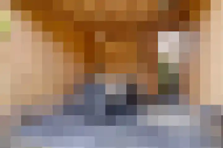 De Blikken 9 A Netersel thumbnail 55