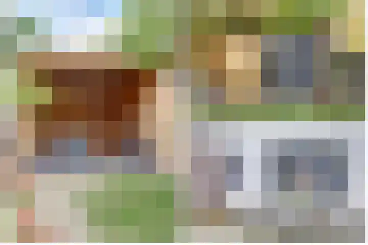 De Blikken 9 A Netersel thumbnail 56