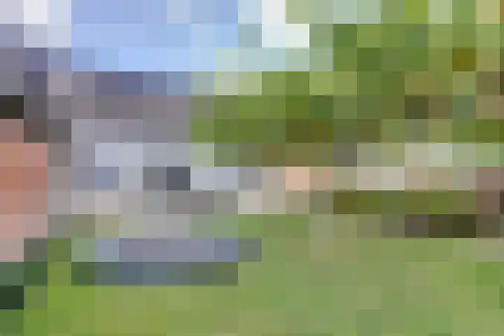 De Blikken 9 A Netersel thumbnail 57