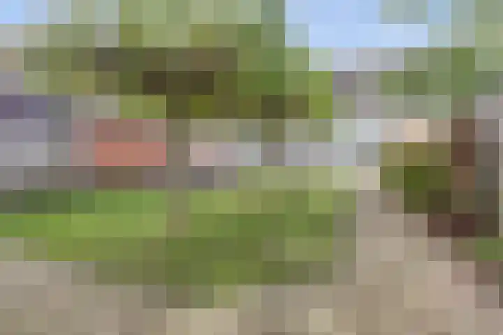 De Blikken 9 A Netersel thumbnail 58
