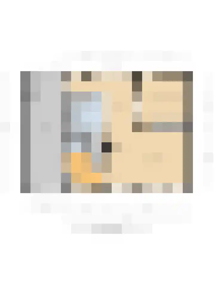 De Blikken 9 A Netersel thumbnail 62