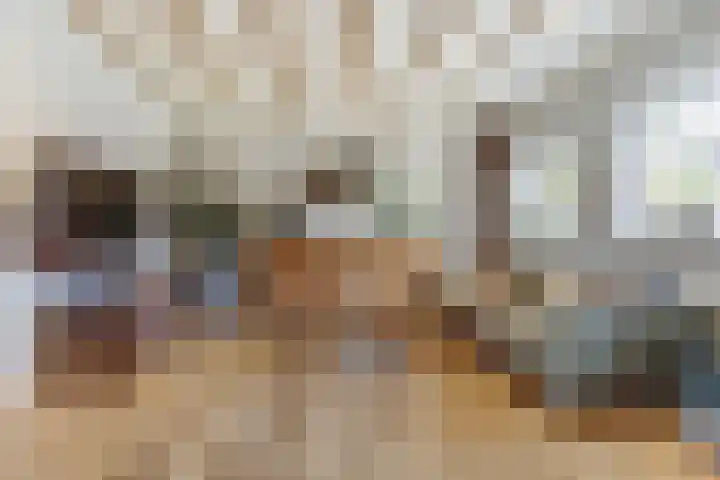 De Blikken 9 A Netersel thumbnail 7