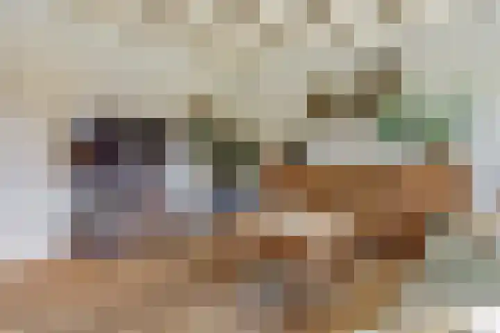 De Blikken 9 A Netersel thumbnail 8