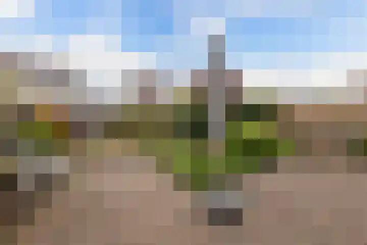 De Blink 10 Bolsward thumbnail 23