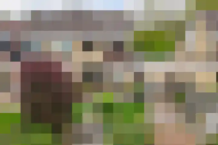 De Blink 10 Bolsward thumbnail 27
