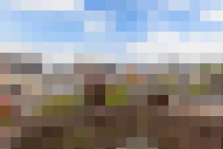 De Blink 10 Bolsward thumbnail 34