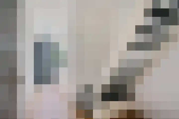 De Blinken 32 Emmen thumbnail 11
