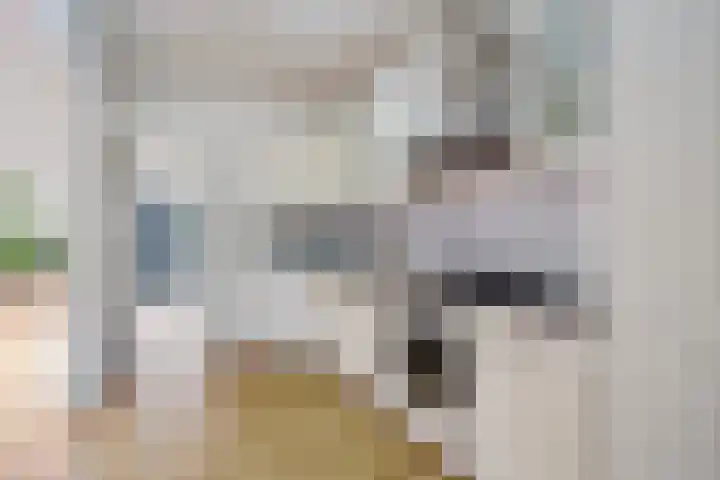 De Blinken 32 Emmen thumbnail 13