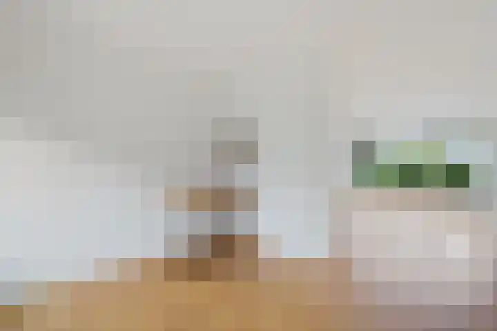 De Blinken 32 Emmen thumbnail 14