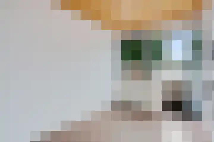 De Blinken 32 Emmen thumbnail 27