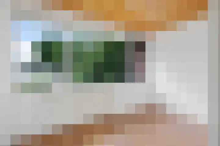 De Blinken 32 Emmen thumbnail 29