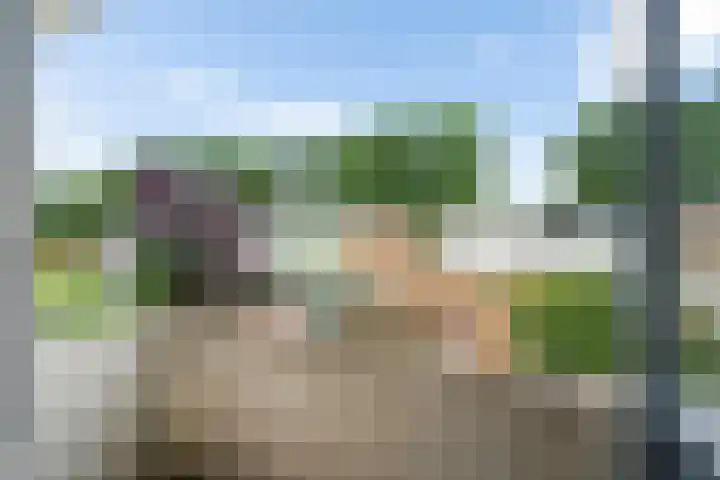 De Blinken 32 Emmen thumbnail 31
