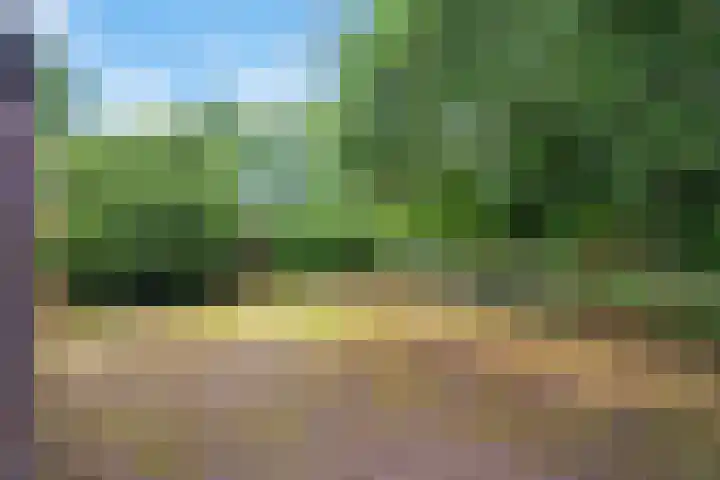 De Blinken 32 Emmen thumbnail 32