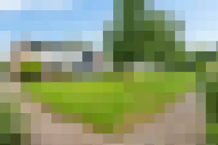 De Blinken 32 Emmen thumbnail 4