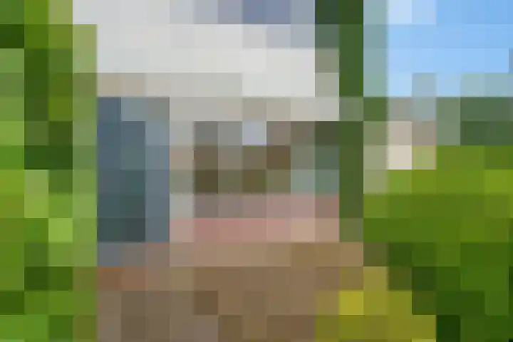 De Blinken 32 Emmen thumbnail 5
