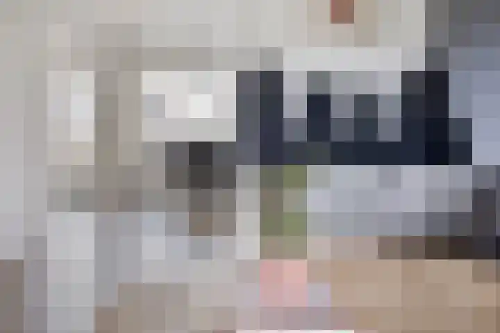 De Blinken 42 Emmen thumbnail 10
