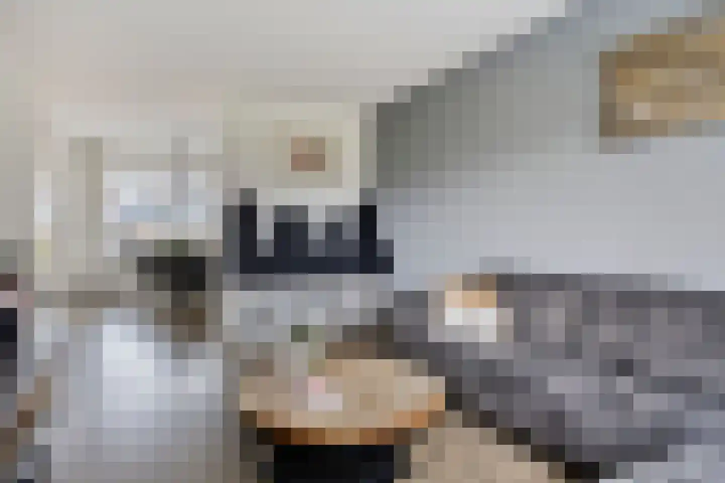 De Blinken 42 Emmen thumbnail 11