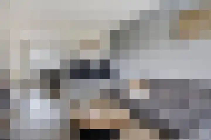 De Blinken 42 Emmen thumbnail 11