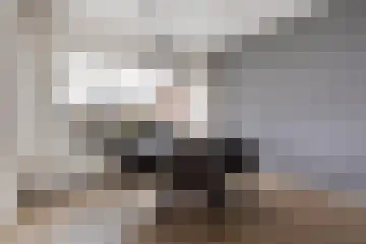 De Blinken 42 Emmen thumbnail 12