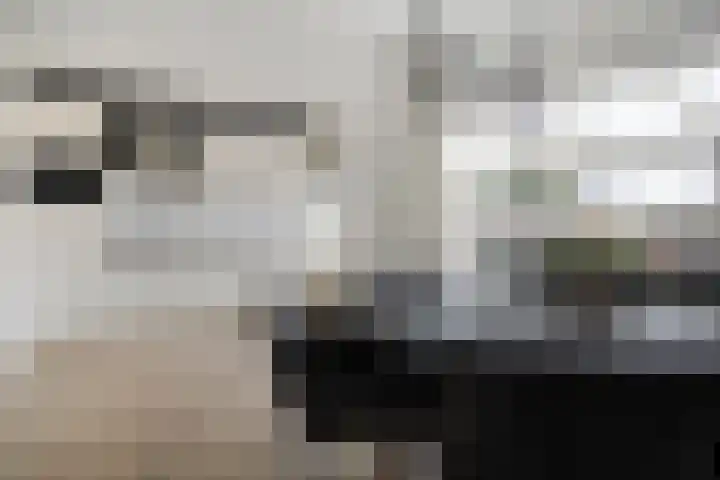 De Blinken 42 Emmen thumbnail 14