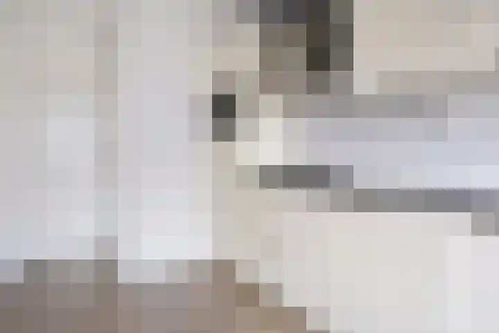 De Blinken 42 Emmen thumbnail 17