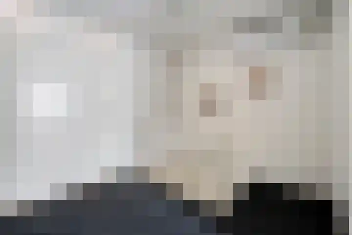 De Blinken 42 Emmen thumbnail 20