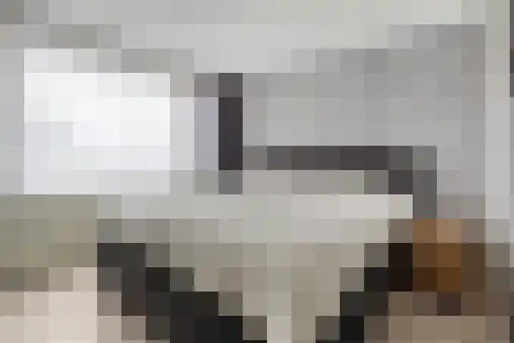 De Blinken 42 Emmen thumbnail 21