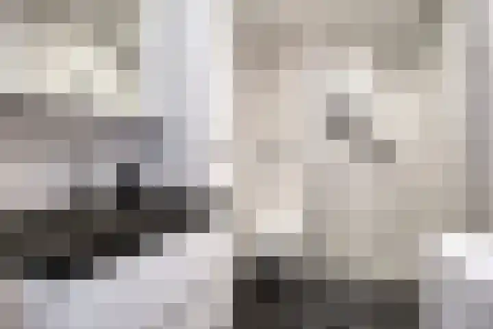 De Blinken 42 Emmen thumbnail 23