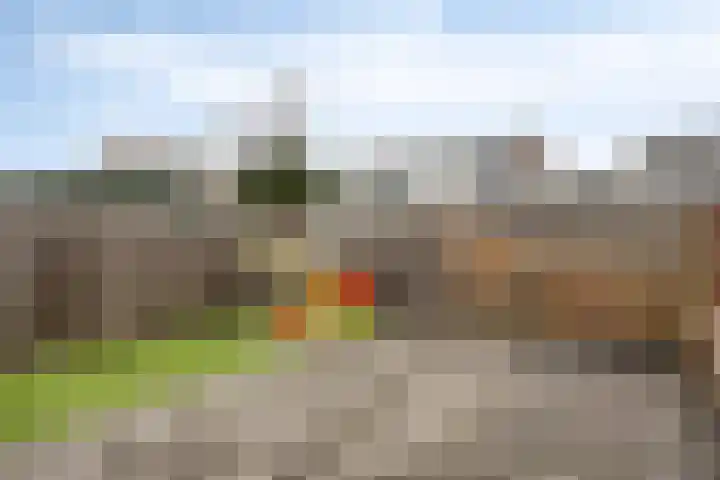 De Blinken 42 Emmen thumbnail 34