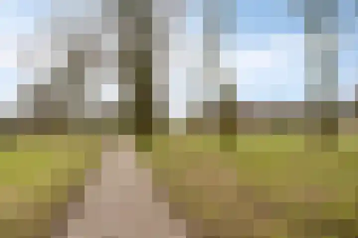 De Blinken 42 Emmen thumbnail 36