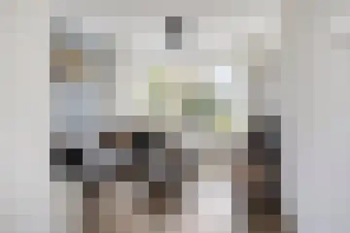 De Blinken 42 Emmen thumbnail 6