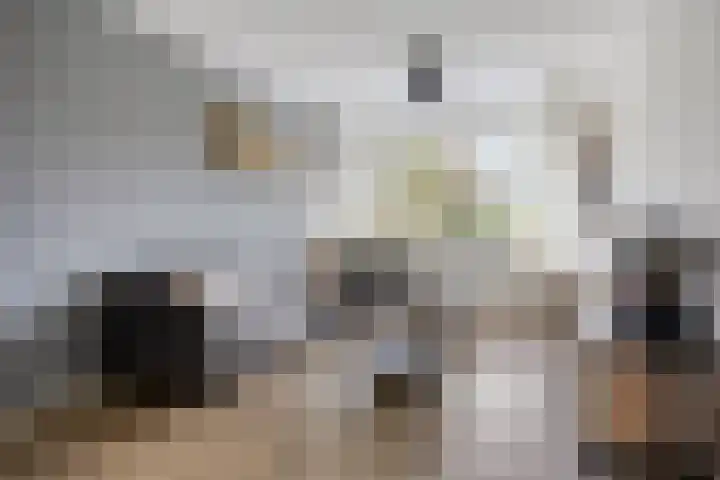 De Blinken 42 Emmen thumbnail 7