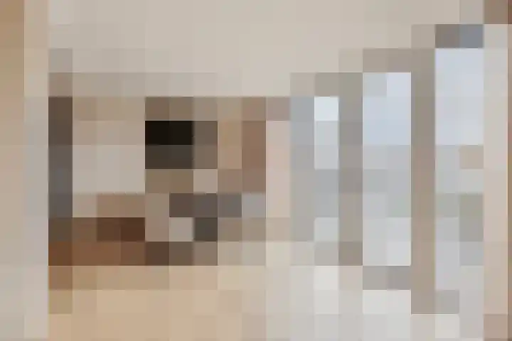 De Blinken 7 Emmen thumbnail 35