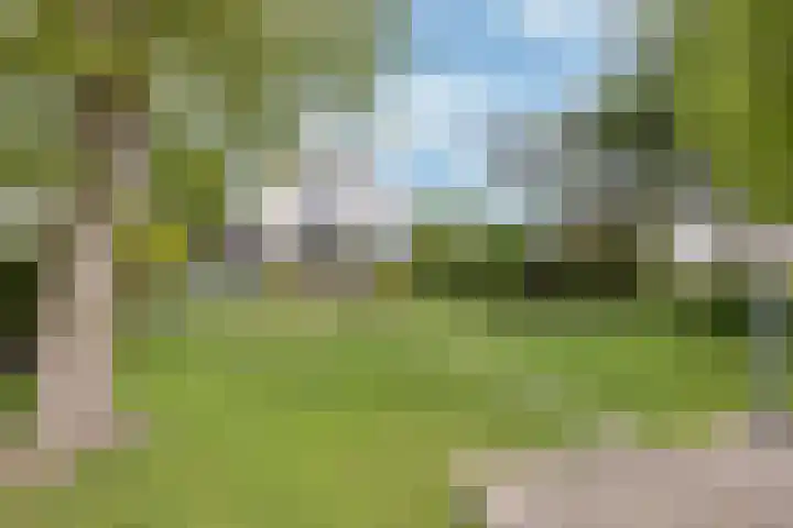 De Blinken 7 Emmen thumbnail 41