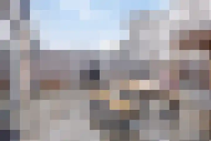 De Blinken 7 Emmen thumbnail 42