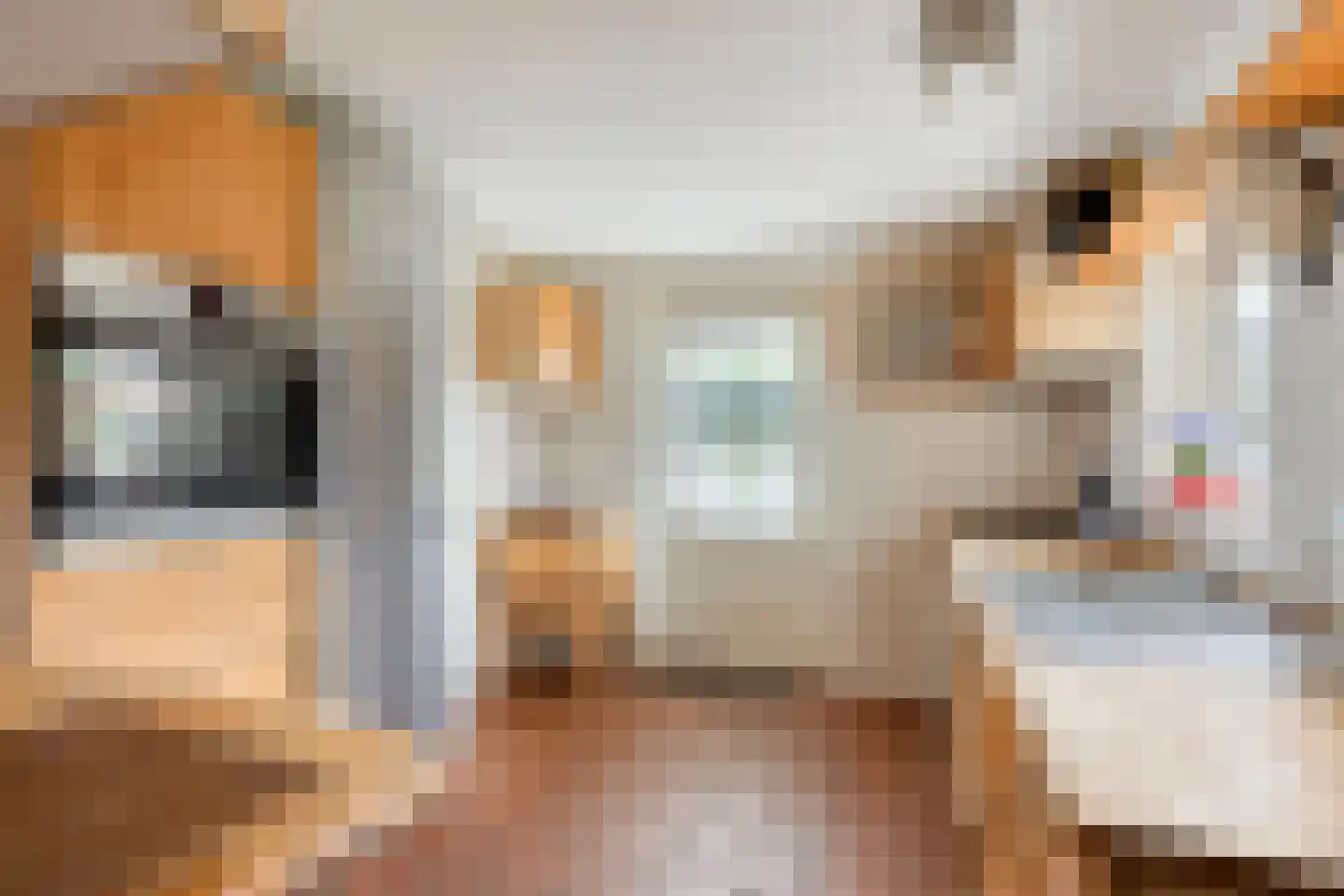 De Blinkenlaan 14 Heiloo thumbnail 13