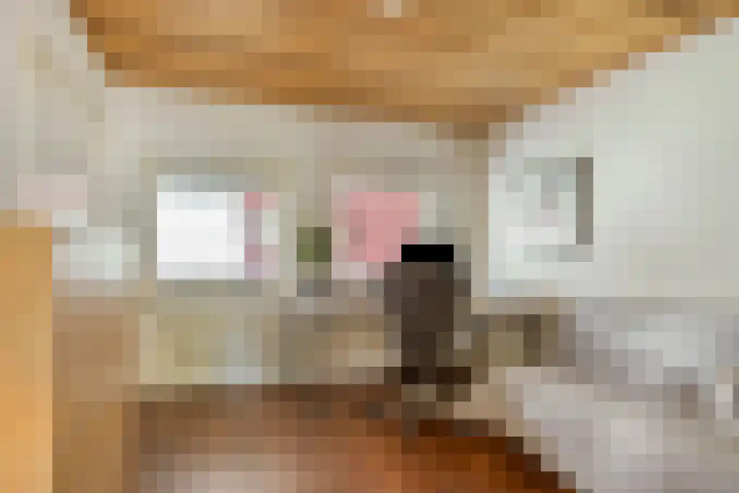 De Blinkenlaan 14 Heiloo thumbnail 19