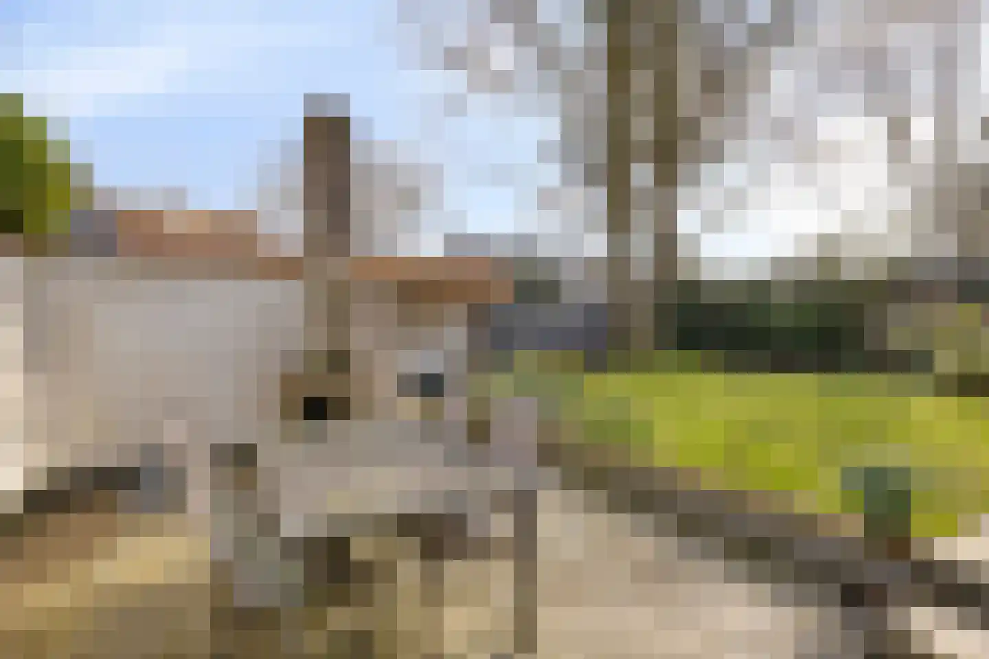 De Blinkenlaan 14 Heiloo thumbnail 39