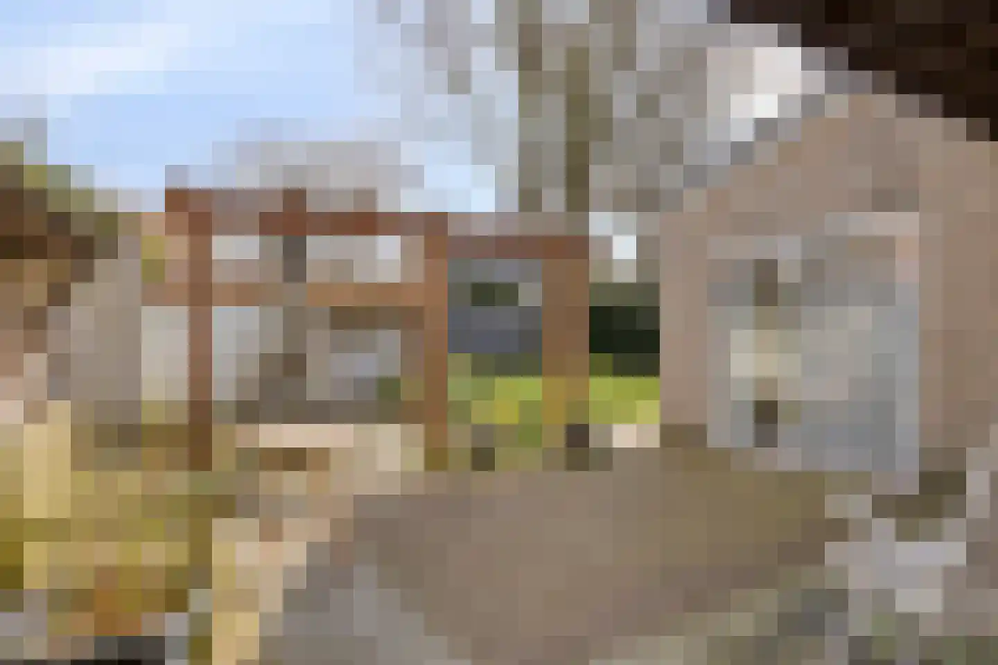 De Blinkenlaan 14 Heiloo thumbnail 40