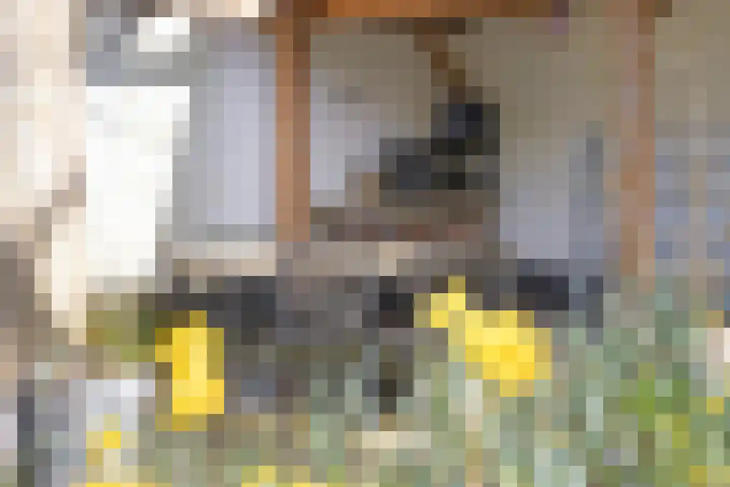 De Blinkenlaan 14 Heiloo thumbnail 41