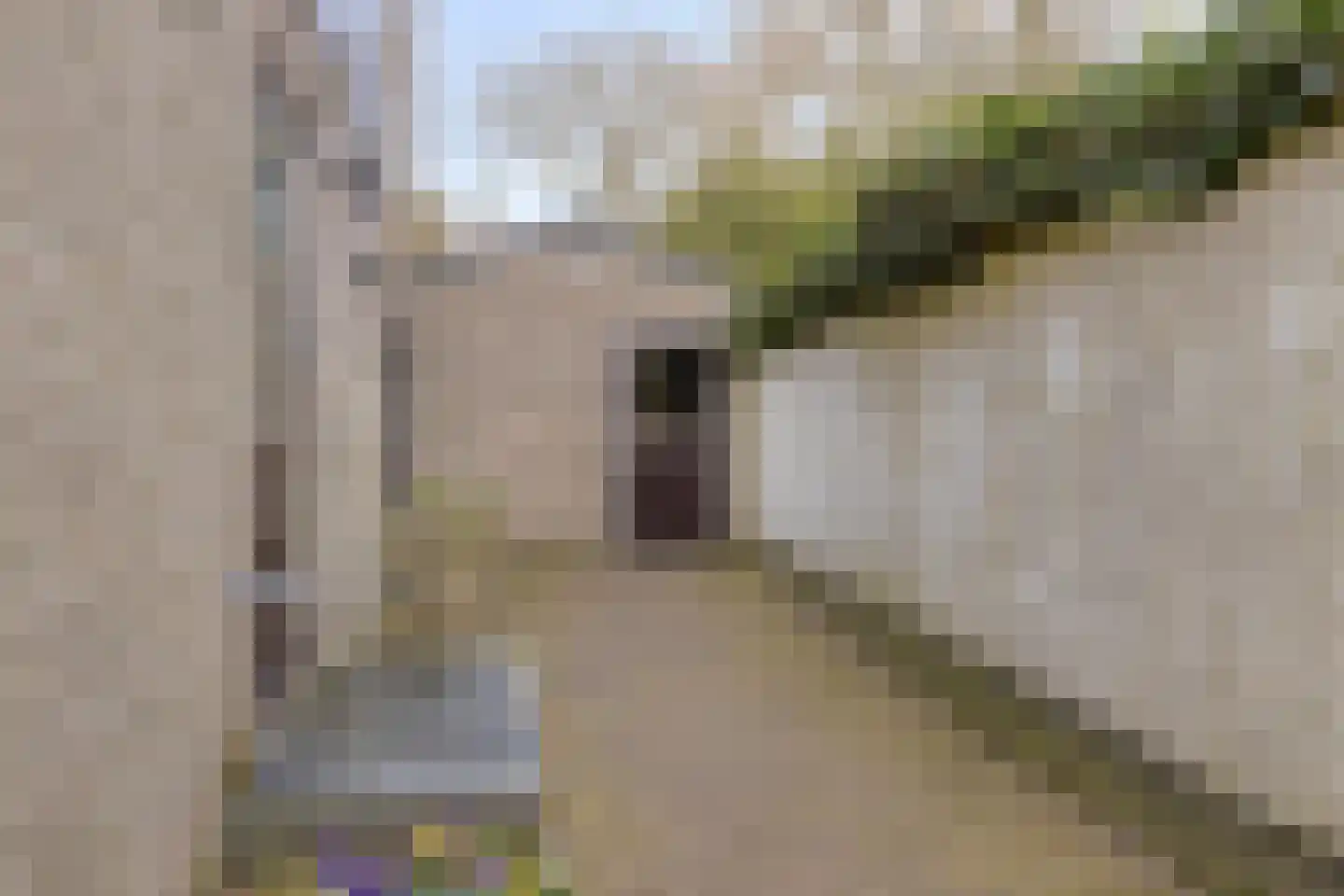 De Blinkenlaan 14 Heiloo thumbnail 43