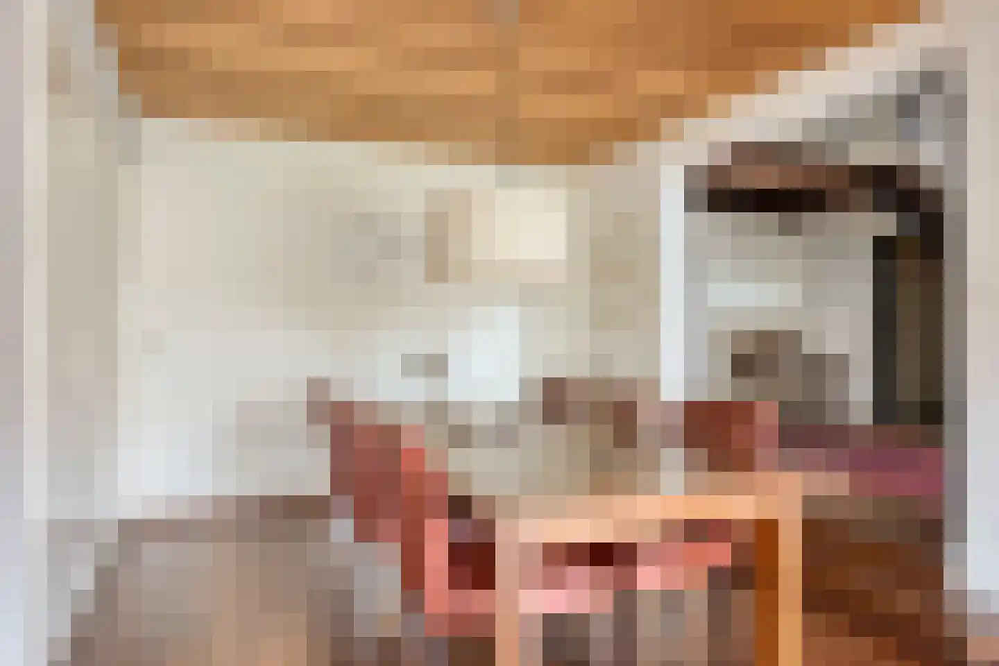 De Blinkenlaan 14 Heiloo thumbnail 9