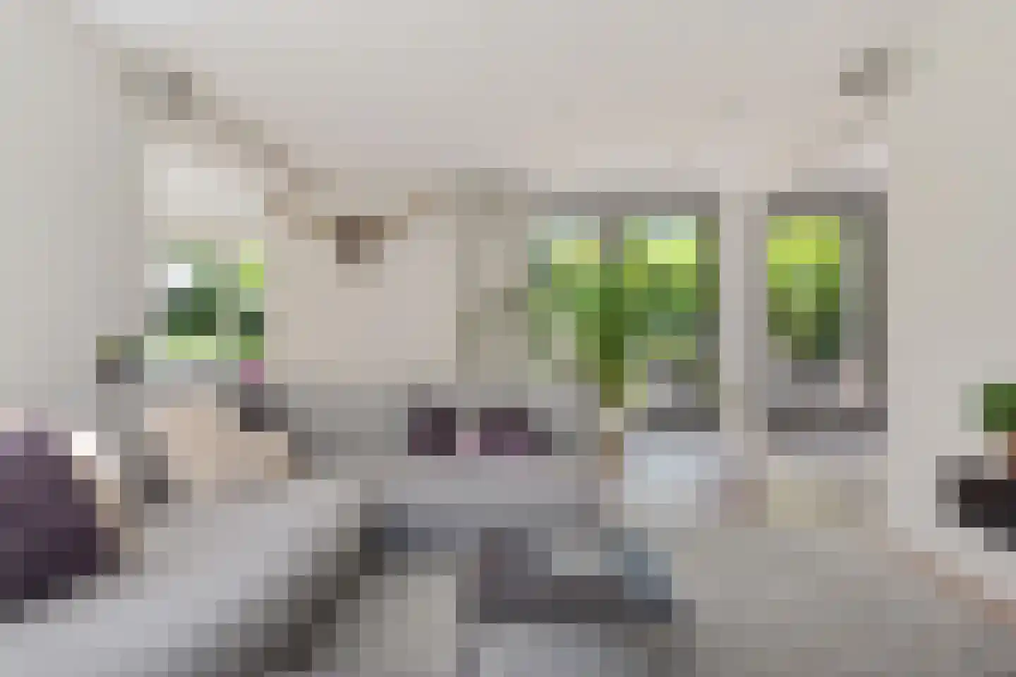 De Blinkenlaan 27 Heiloo thumbnail 21