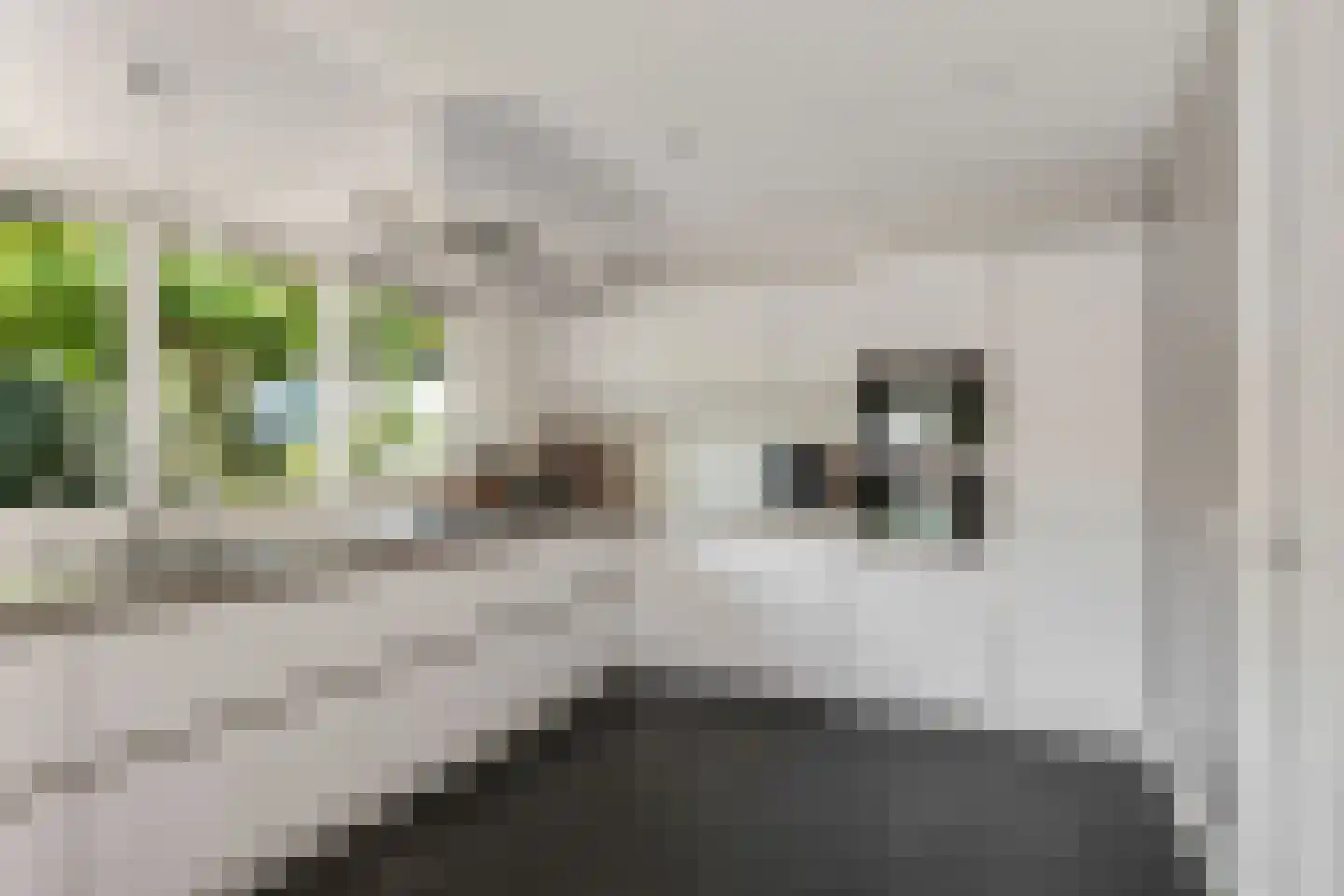 De Blinkenlaan 27 Heiloo thumbnail 26