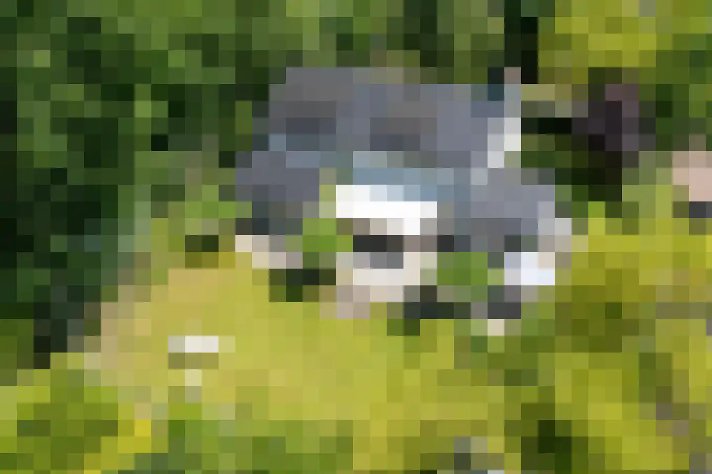 De Blinkenlaan 27 Heiloo thumbnail 5