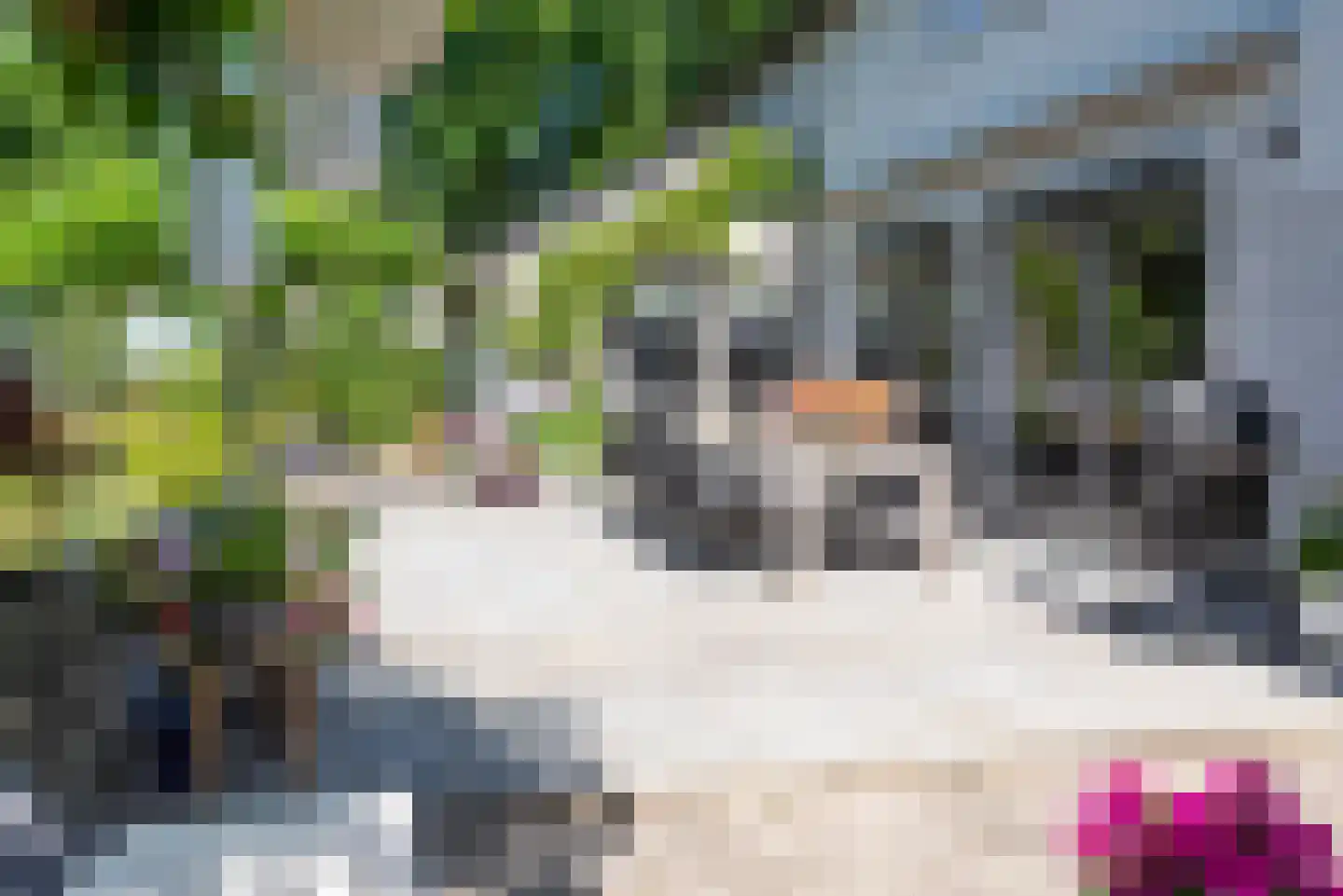 De Blinkenlaan 27 Heiloo thumbnail 57