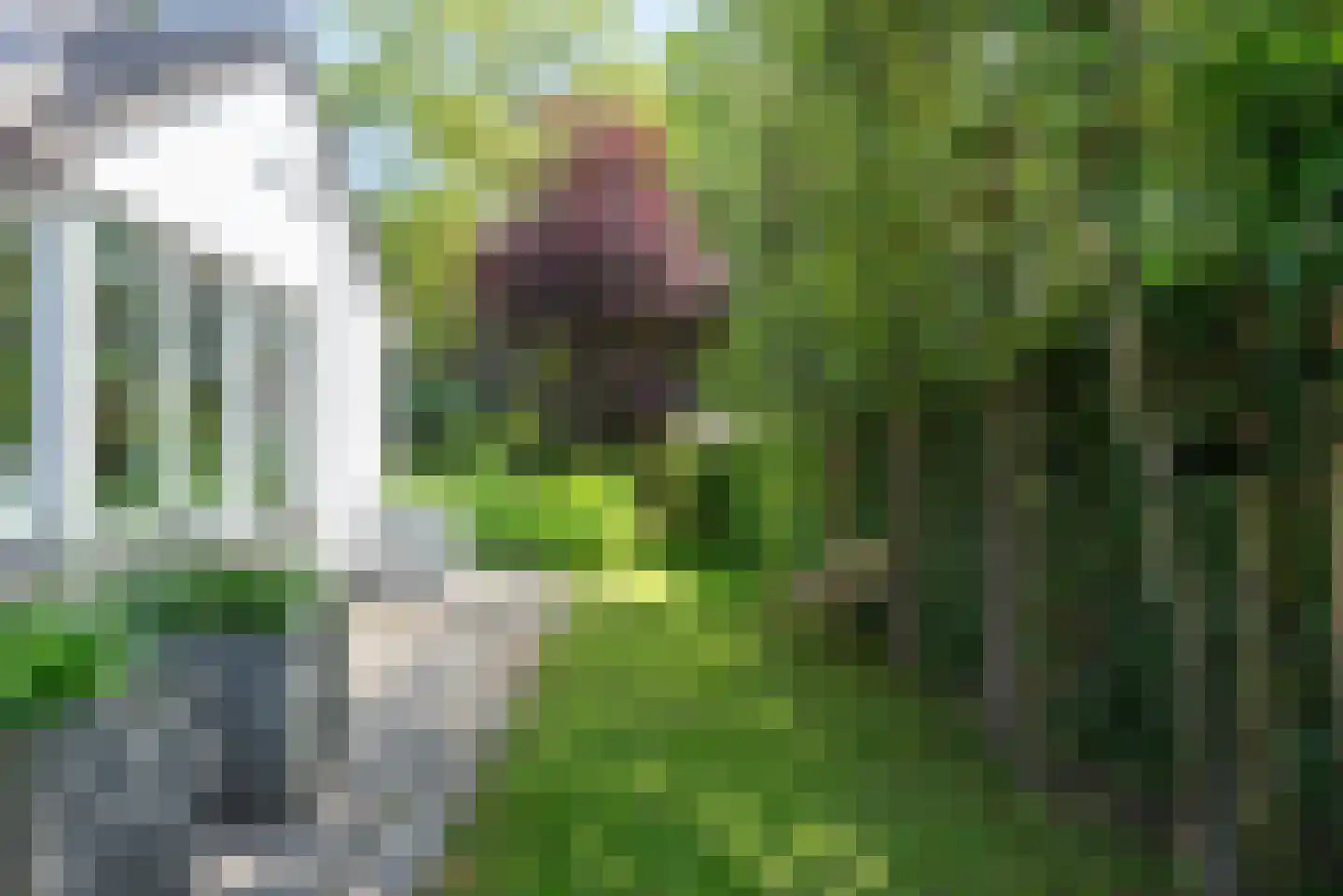 De Blinkenlaan 27 Heiloo thumbnail 60