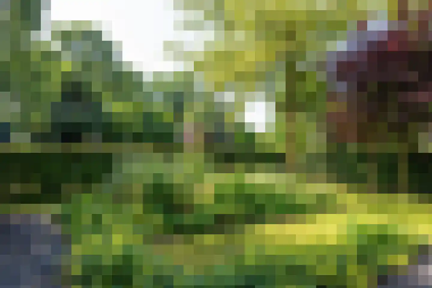 De Blinkenlaan 27 Heiloo thumbnail 61