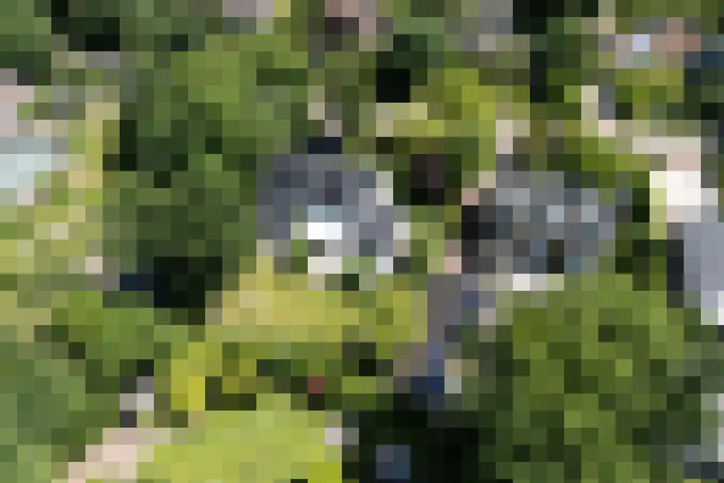 De Blinkenlaan 27 Heiloo thumbnail 63